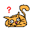 *cat opens eyes*