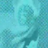 Link